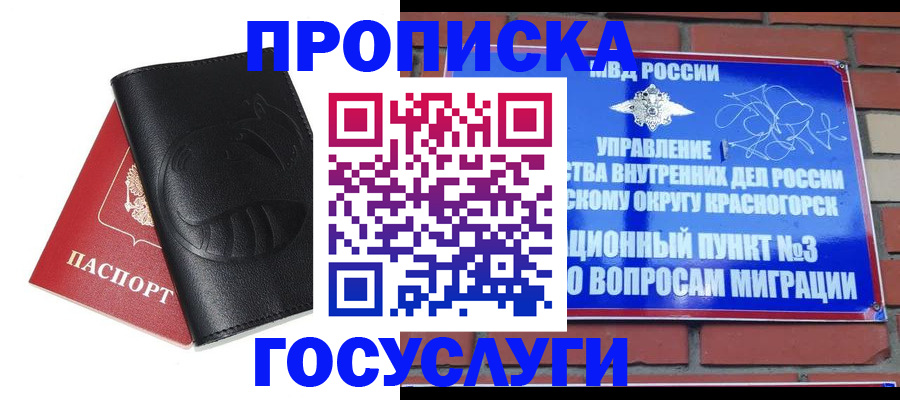 купить прописку в Мытищах